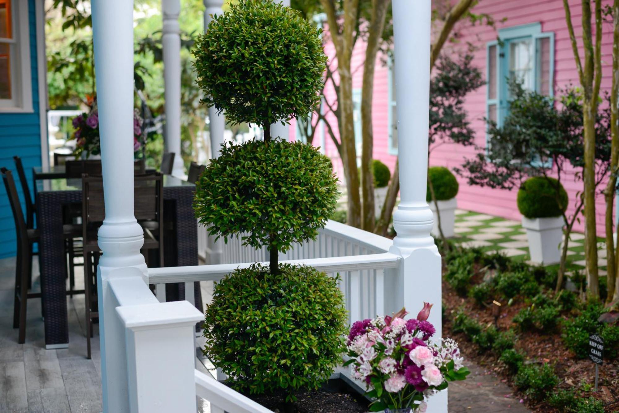 4 Bedroom - Sleeps 8! Celebrity Villa Next To Frenchman St New Orleans Exteriér fotografie